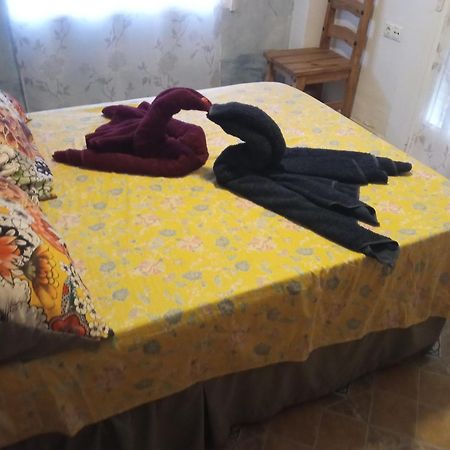 Apartamento Maite Guardamar del Segura Zimmer foto